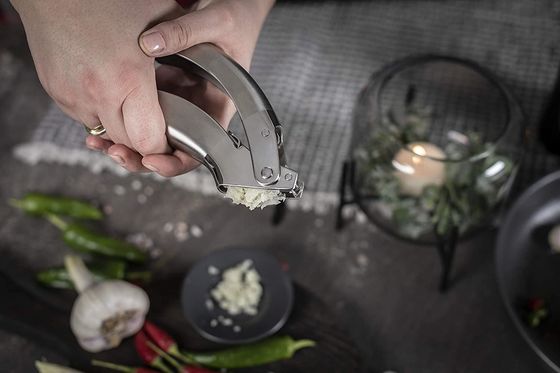合理的なステンレス鋼 ガーリッククラッシュ ジンジャー Grater キッチンガジェット マルチ キッチン Grater