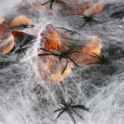 ポリエステル スパイダー ウェブ 綿糸 ハロウィーン パーティの道具のための鬼屋の装飾