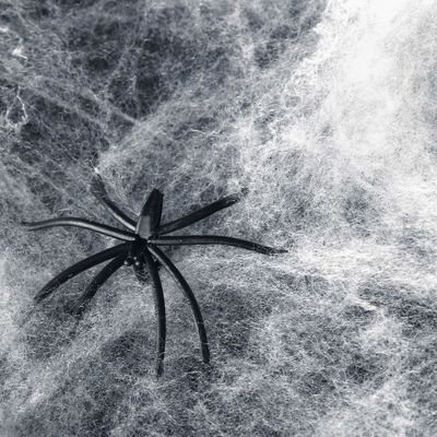 オーダーメイド ストレッチなハロウィーン スパイダーウェブ 幽霊家のための恐ろしいシーン道具