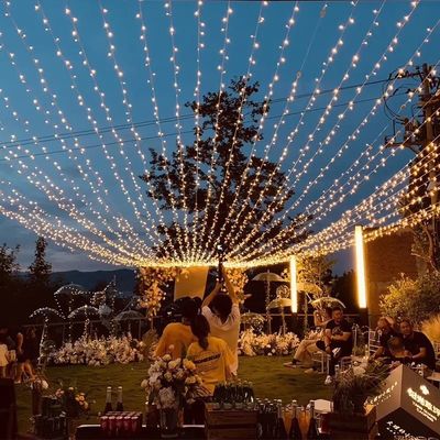 屋外 防水 300m 紫 LED フェアリーライト ストリング クリスマス 休日の飾り付けのためのガーランド